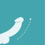 b3-image1.webp