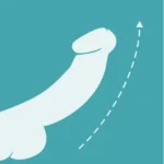 b3-image3.webp