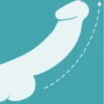 b3-image4.webp