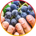 image-1.webp