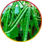 image-5.webp